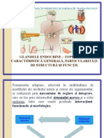 Tema 15. Sistemul endocrin.PPT