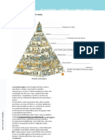 Ficha 4 - A Sociedade, A Religião e o Saber Egípcios