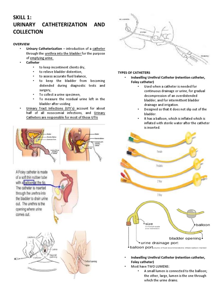 Skill 1 Urinary Catheterization and Collection PDF