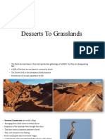 Desert Wildlife and Grassland Ecosystems