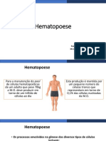 Hematopoese 2