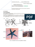 TP11 Equinodermos - Sequeira Virginia