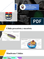 Grupo 2 - Cevallos-Camacho-Arellano - Exposición 2do Bim