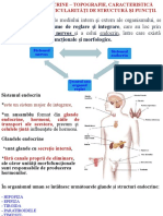 Sistemul Nervos Sistemul Endocrin