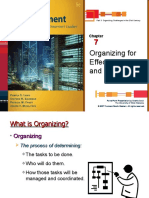 Organizing For Effectiveness and Efficiency