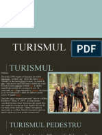 TurismUl