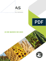 Panorama Agrícola Semanal - BCBA.