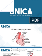 2. Clase Aorta Ascendente y Coronarias