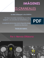 Neuroanatomía Imágenes - Pares Craneales 2020