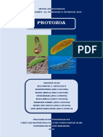 KLP 3 Modul Biosistematik Protozoa