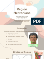 Equipo 4 - Región Metoniana