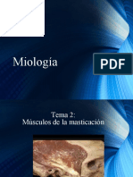 Musculos de La Masticación