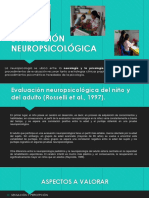 Evaluación Neuropsicológica