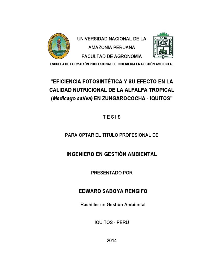 Eficiencia Fotosintetica PDF Química Naturaleza