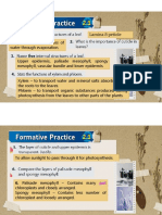Formative Practice 2.1