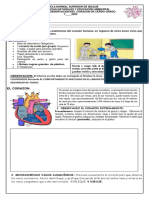 Practica Laboratorio 1 Corazon