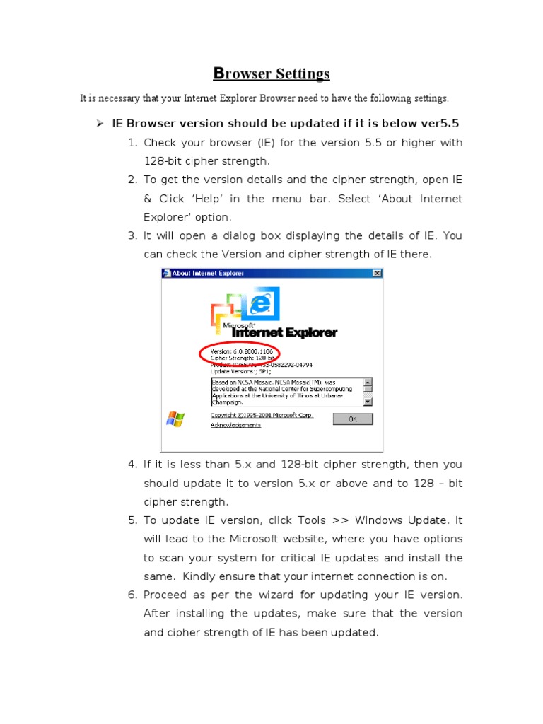 Internet Explorer Browser Settings Guide | PDF | Internet Explorer ...