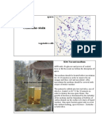 Detecting Clostridium Spores Using Kitt-Tarozzi Medium