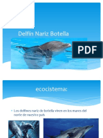 Delfin Botella
