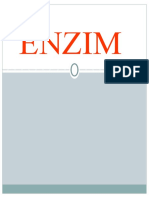 ENZIM