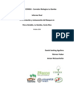 Proyecto Finca Amable Esquinas de Osa Wiederbewaldung Abschlussbericht