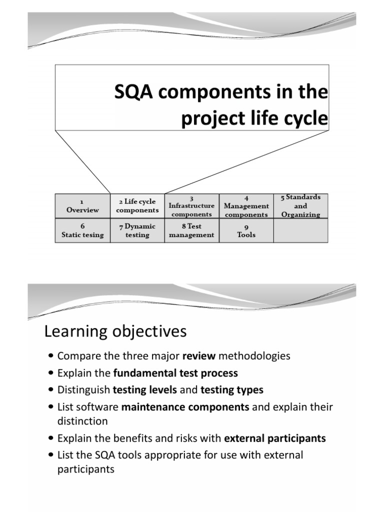 Integrating Quality in Software Testing | PDF | Software Testing ...