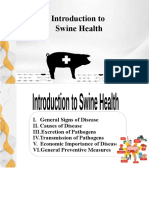 Introduction To Swine Health