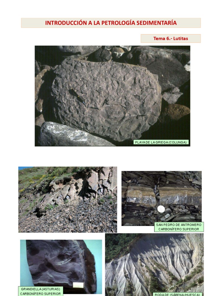 PetSed T6 Lutitas | PDF | Roca (geología) | Minerales