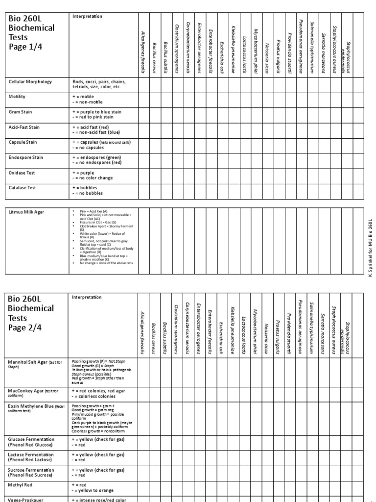 Biochemical Test Chart PDF Bacillus Bacteria