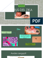 Virus del ZIKA (2)
