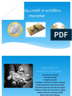 Materiale Finante_Tema 11