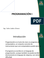 Introduccion A La Programacion