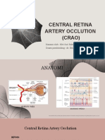 Central Retina Artery Occlution (Crao) - Elvi Suci Rahmadani