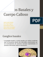 Ganglios Basales y Cuerpo Calloso