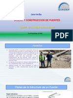DISEÑO Y CONSTRUCCION DE PUENTES - PPTs