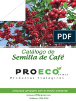 Catalogo_semillas San Pacho