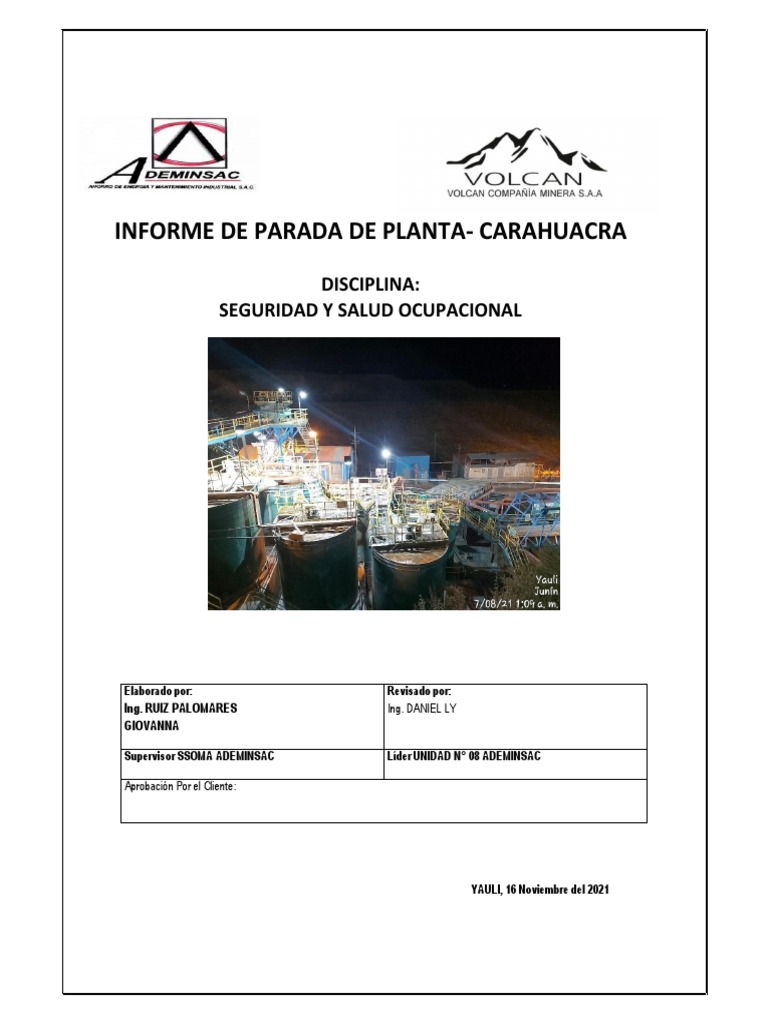 Informe SSO PDP - Noviembre 2021 | PDF
