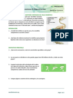 Comparative Anatomy Worksheet Spanish