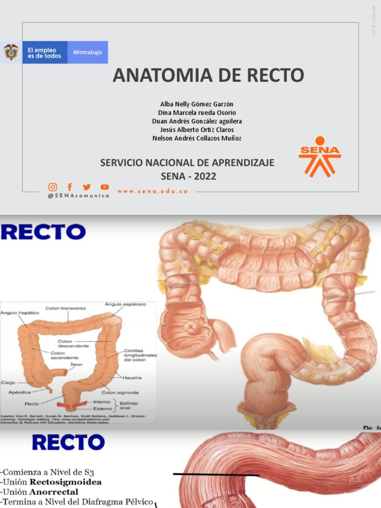 Cancer de Recto | PDF