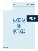 Tema 2. P Álgebra de matrices