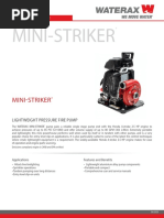 Mini-Striker Hoja de Datos