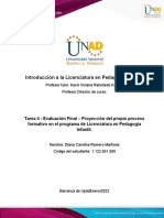 Formato 4 - Formato para La Elaborar La Proyección Del Propio Proceso Formativo en El Programa de LIPI