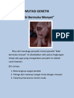 Penyakit Mutasi "Babi Bermuka Monyet