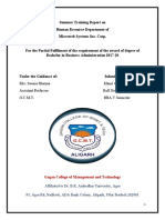 Summer Training Report on Human Resource Department of Microweb Systems Inc. Corp