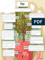 Mapa Conceptual - Biología y Sus Relaciones