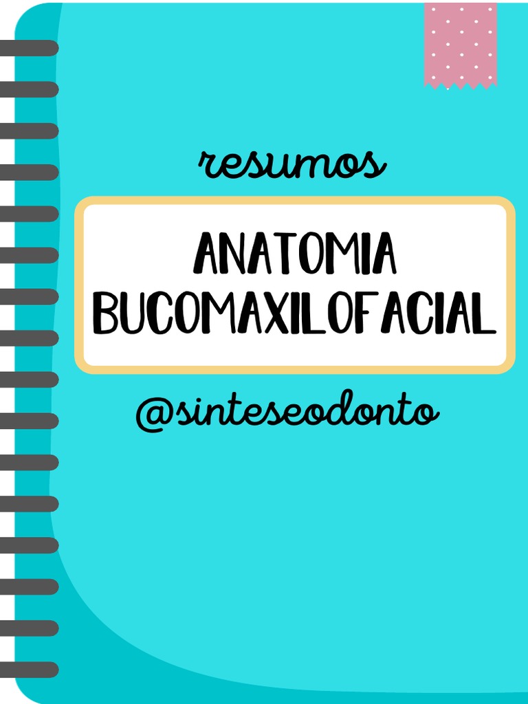 Anatomia Bucomaxilofacial Sinteseodonto Pdf Saliva Anatomia Humana