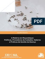 Malária em Moçambique políticas, provedores de cuidados, saberes e práticas de gestão da doença