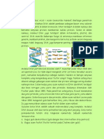 Materi 3 - DNA & RNA