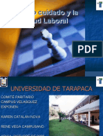 El Autocuidado y La Salud Laboral Campus Velasquez Universidad de Tarapaca