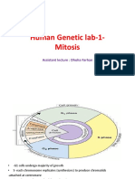 Lab - 1 - Human Genetics